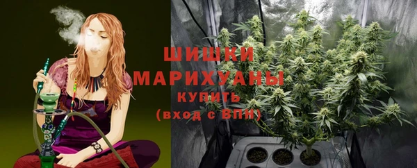 спайс Алзамай