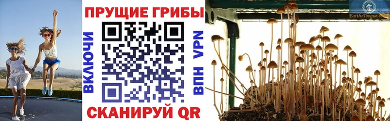 Псилоцибиновые грибы мухоморы Урюпинск
